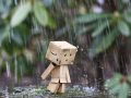 Nằm mơ thấy mưa là điềm gì, Chơi xổ số con gì chắc ăn nhất?