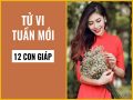 Tử vi 12 con giáp tuần từ 21/10-27/10/2019