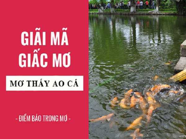 Mơ thấy ao cá là điềm báo gì, đánh con số lô tô nào may mắn?