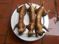 Giải mã giấc mơ thấy ăn thịt mèo điềm gì, đánh con gì