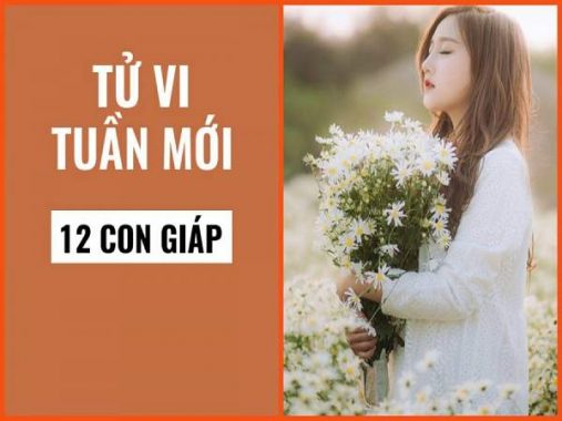 Tử vi 12 con giáp tuần từ 21/9-27/9/2020