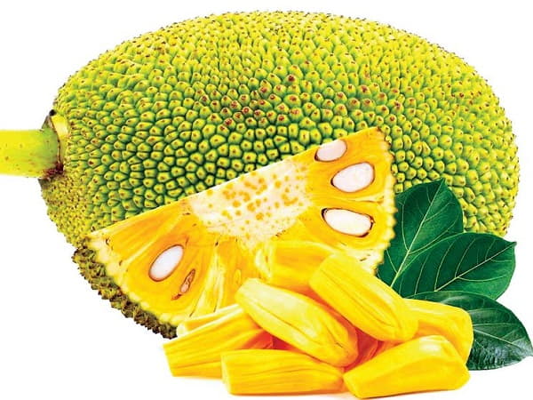 Tham khảo con số may mắn khi nằm mơ thấy quả mít