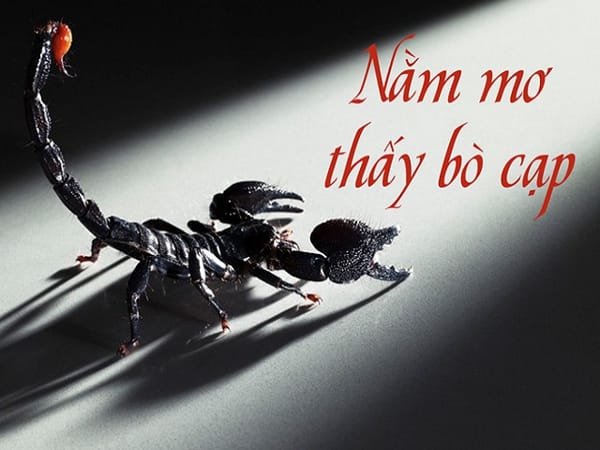 Mơ thấy bò cạp điềm báo lành hay dữ? Đánh con gì chính xác?