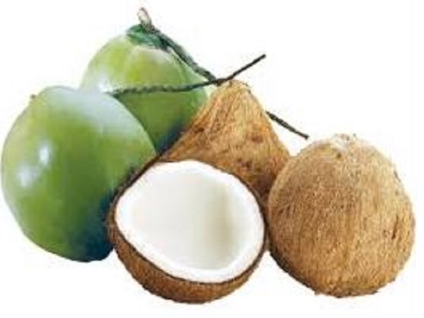 Tham khảo con số may mắn khi mơ thấy quả dừa
