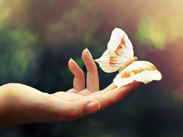 Nằm mơ thấy bàn tay đánh con gì – Ý nghĩa giấc mộng thấy bàn tay