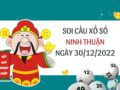 Thống Kê lô VIP xổ số Ninh Thuận ngày 30/12/2022 thứ 6 hôm nay