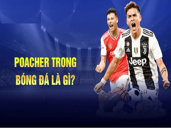 Poacher là gì trong bóng đá?