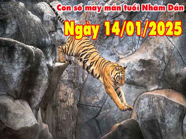 Con số tài lộc tuổi Nhâm Dần ngày 14/1/2025 thứ 3 hôm nay