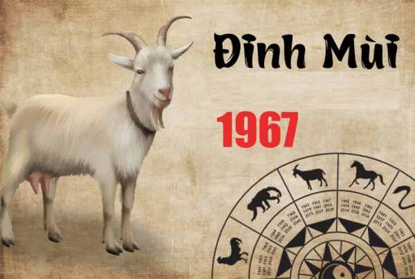 Số phát tài tuổi Đinh Mùi 23/5/2025 có gì đặc biệt?
