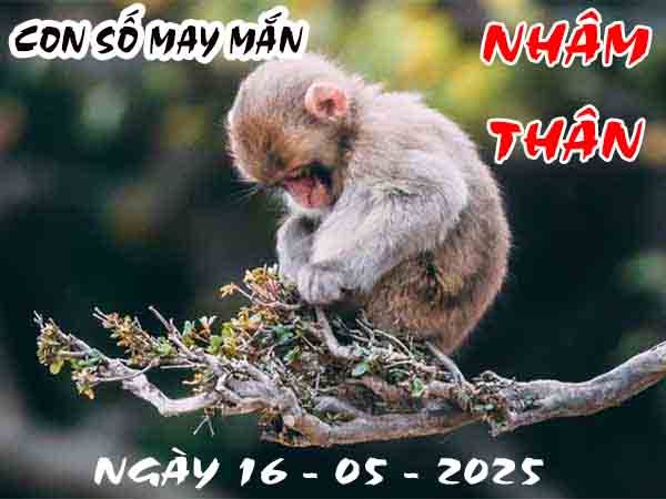 Con số may mắn tuổi Nhâm Thân ngày 16/5/2025 thứ 6 hôm nay