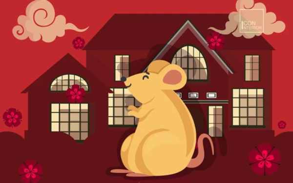 Phân tích con số đẹp tuổi Nhâm Tý