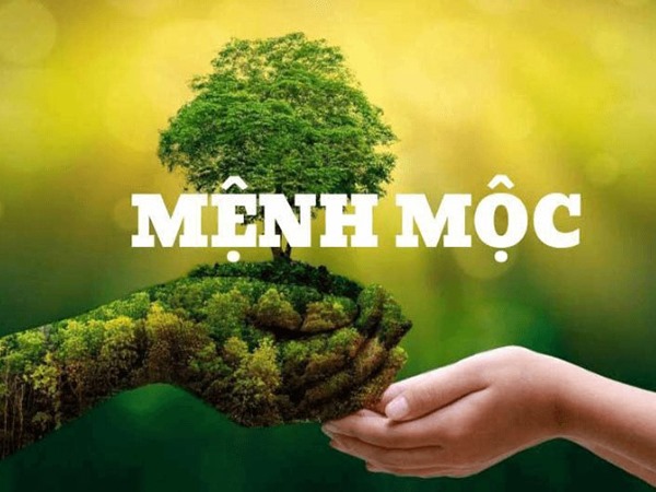 Khai phá số vàng người mệnh Mộc 2/7/2025