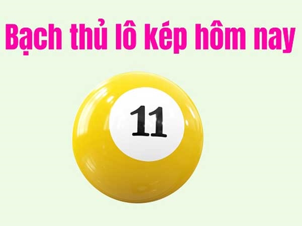 Thống kê bạch thủ lô kép hôm nay gồm những số nào?