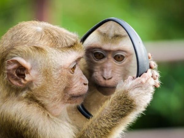 Tử vi tuổi Thân ngày 23/7/2025 con số tài lộc tuổi Thân