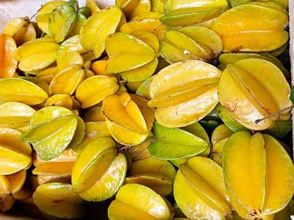 Giấc mơ thấy quả khế báo hiệu gì cho đường tiền tài?