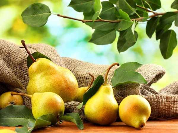 Nằm mơ thấy quả lê có điềm báo gì