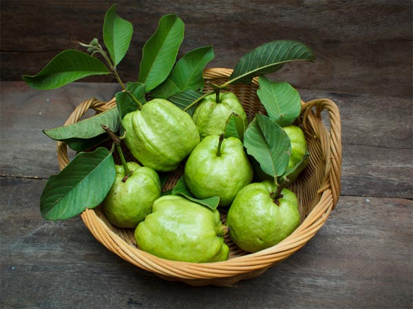 Nằm mơ thấy quả ổi có ý nghĩa gì?