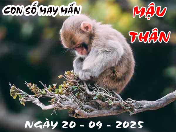 Cặp số đẹp tuổi Mậu Thân ngày 20/9/2025 thứ 7 hôm nay