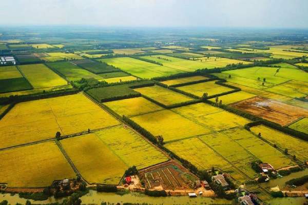 Mơ thấy mua đất nhưng không đủ tiền