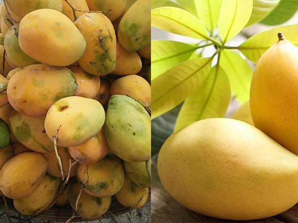 Nằm mơ thấy trái cây chín vàng có thông điệp gì?