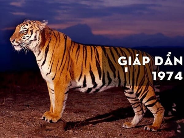 Luận con số may mắn tuổi Giáp Dần ngày 5/12 mang tài lộc