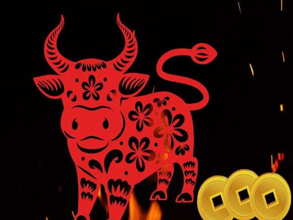 Con số lộc phát tuổi Sửu ngày 8/1/2026 mang ý nghĩa gì?