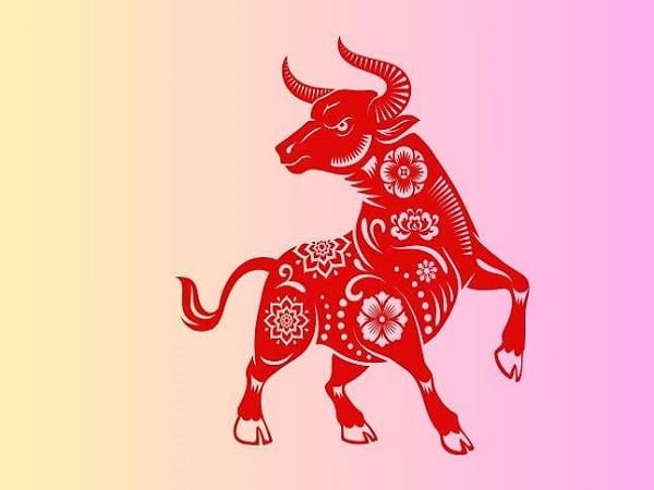 Tổng quan vận khí tuổi Sửu ngày 8/1/2026 (thứ 5)