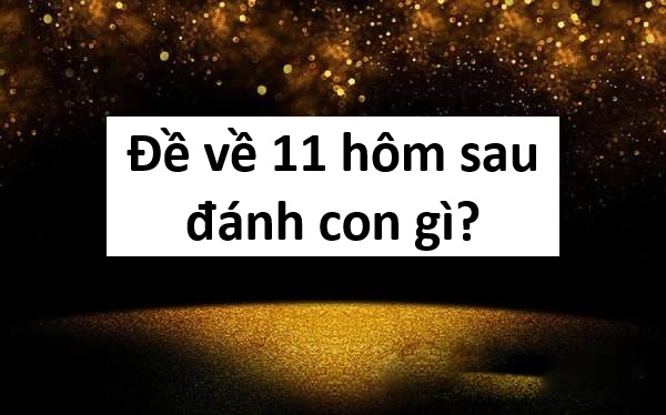Chuyên gia tiết lộ đề về 11 hôm sau về con gì chuẩn xác