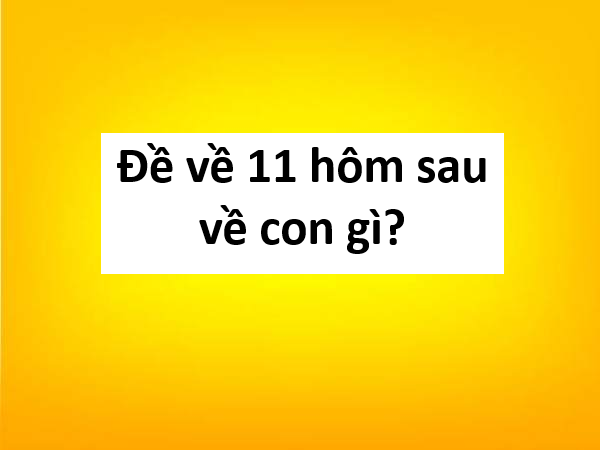 Chuyên gia tiết lộ đề về 11 hôm sau về con gì chuẩn xác