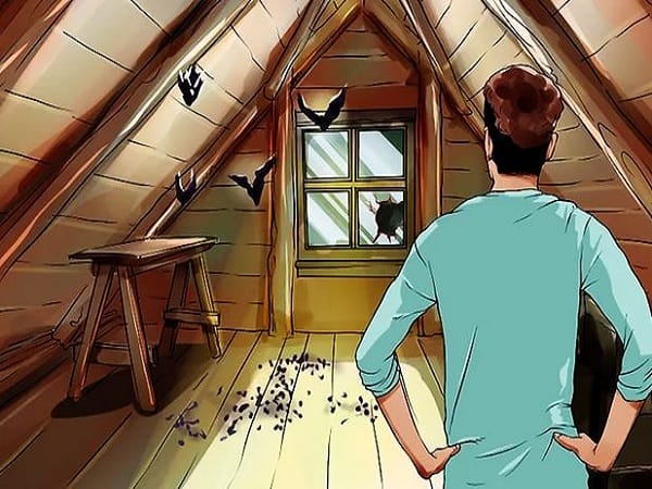 Giải con dơi bay vào nhà số mấy cùng điềm báo và ý nghĩa