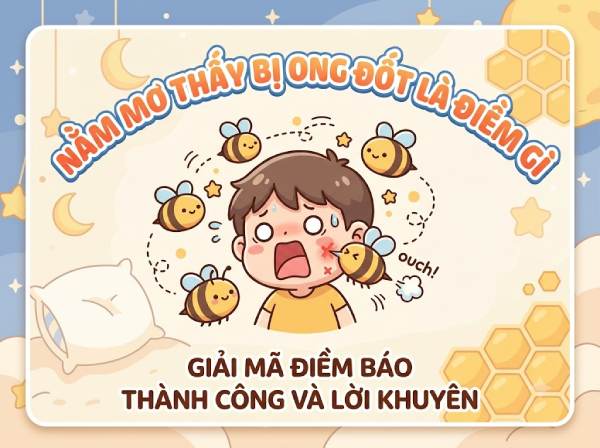 Luận giải ý nghĩa giấc mơ thấy bị ong đốt là điềm gì?